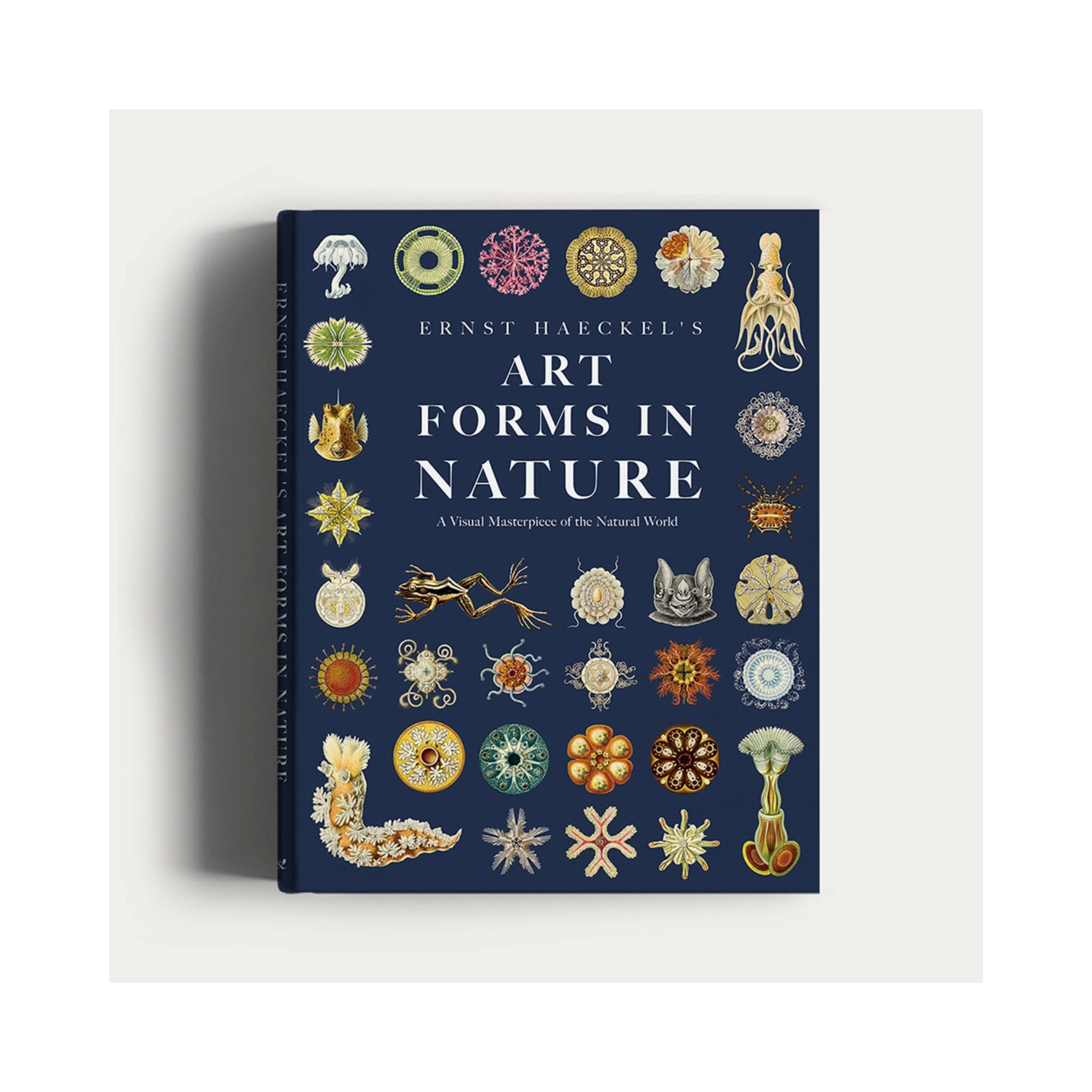Quarters Decor Summer Books: Art Forms In Nature