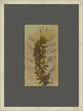 X-Ray Specimen: (24"W x 32"H)